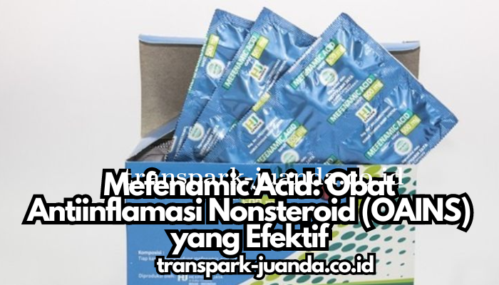 Mefenamic Acid: Obat Antiinflamasi Nonsteroid (OAINS) yang Efektif