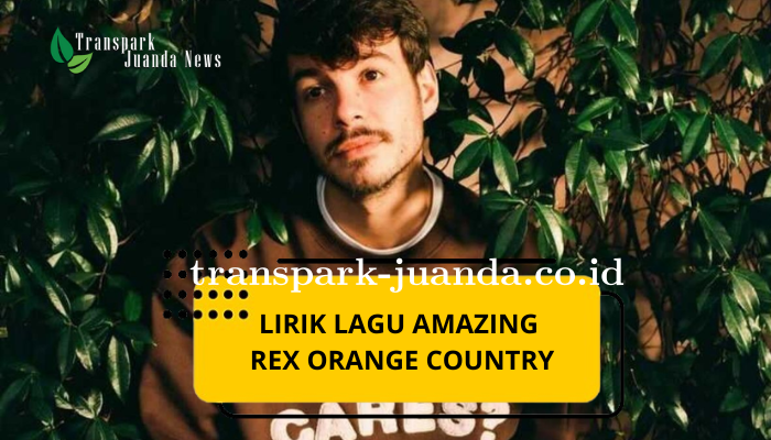 Lirik Lagu Rex Orange Country Amazing