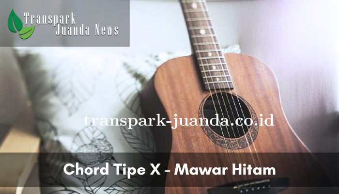 Chord Tipe X - Mawar Hitam Yang Mudah Dimainkan!