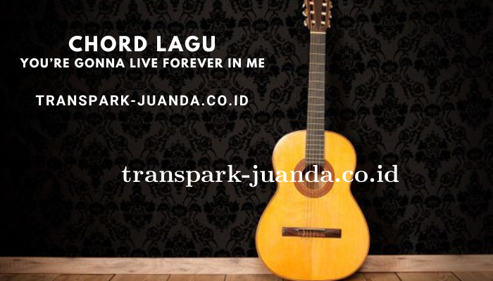 Chord Lagu Dan Lirik Lagu Youre Gonna Live Forever In Me - John Mayer