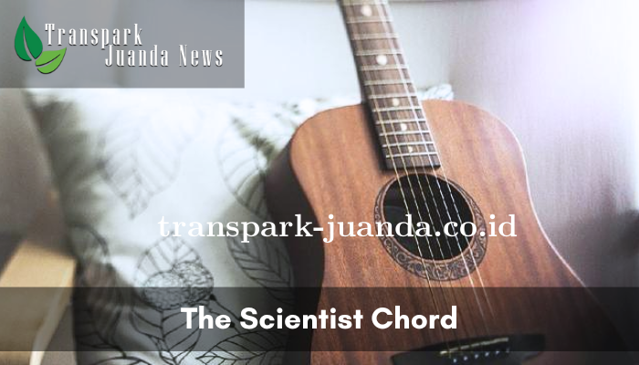 The Scientist Chord Gitar dari Coldplay yang Terkenal di Dunia!