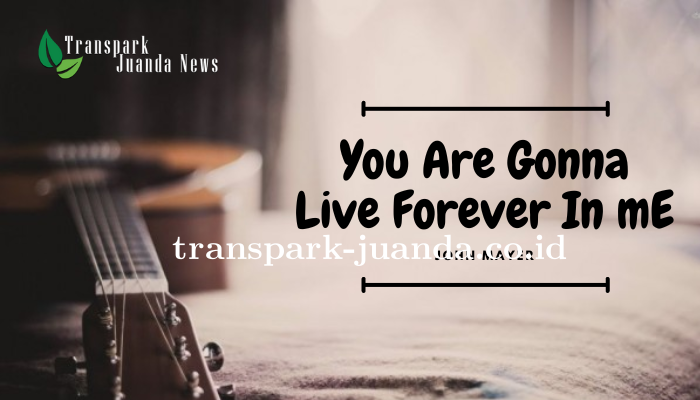 Chord dan Lirik Lagu You re Gonna Live Forever in Me Lengkap Mudah di Pelajari